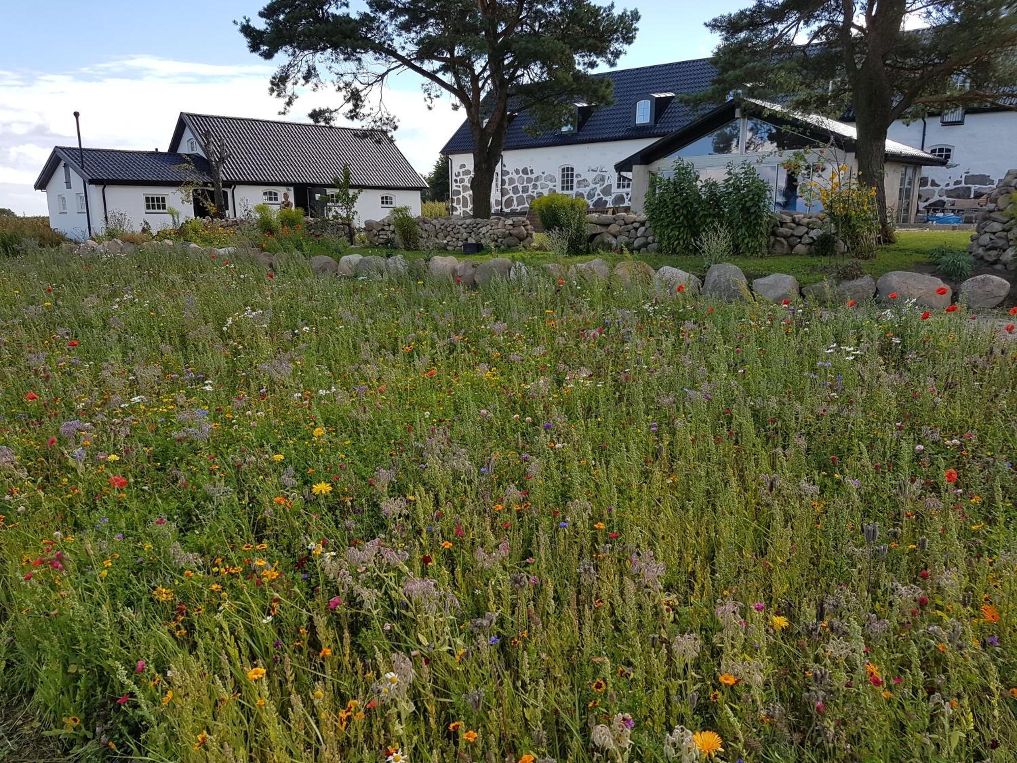 Baestekille Gardshotell Kivik Exterior photo